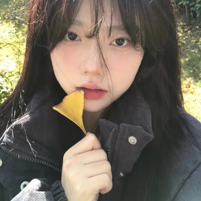 波尼龙的异想世界