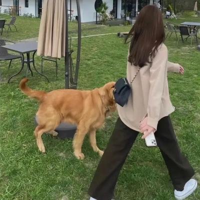 盗贼门